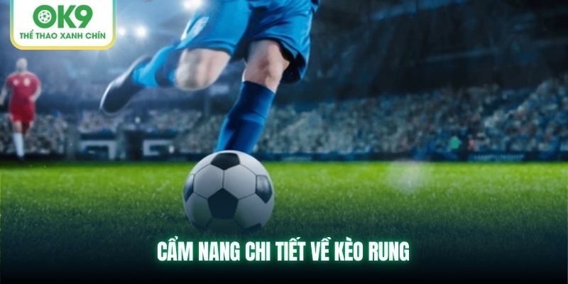 Cẩm nang chi tiết về kèo rung